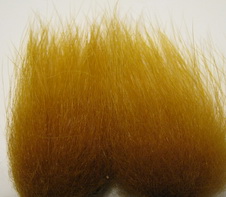 polar bear amber standart